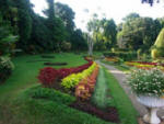 Peradeniya Garden